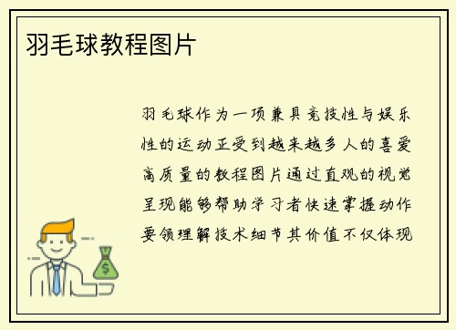 羽毛球教程图片