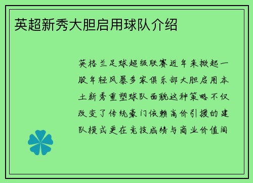 英超新秀大胆启用球队介绍