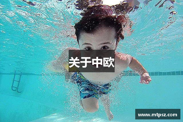 关于中欧